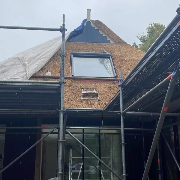 Noordlaren topblind L